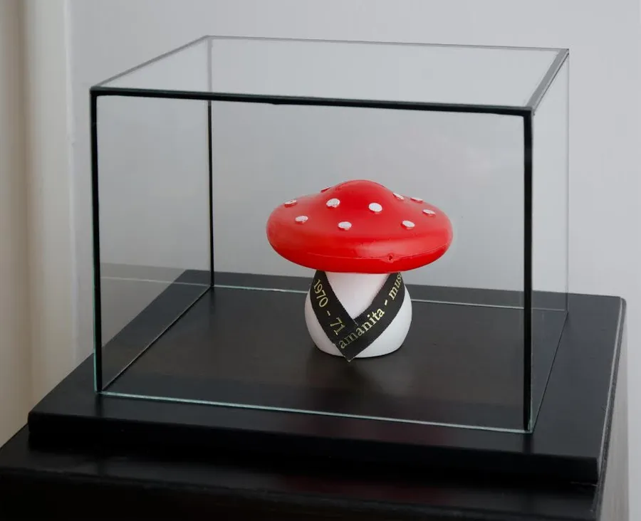 FLY AGARIC (AMANITA MUSCARIA)