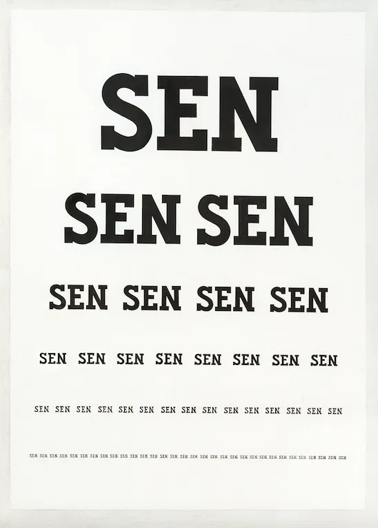 Počut videnie /SEN/